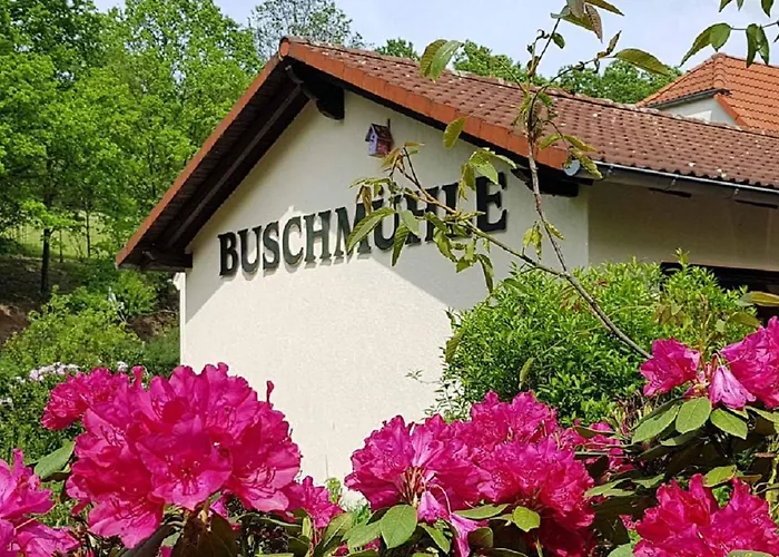 Biohof Buschmuehle Apartment Konigsfeld  photo