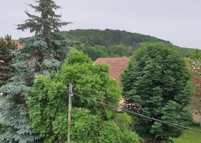 Ferienwohnung Im Herzen Von Thueringen Blankenhain fotoğrafı
