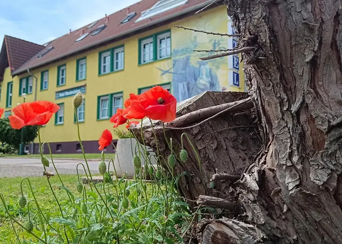 Hotel Wandersleben - Erfurt Foto