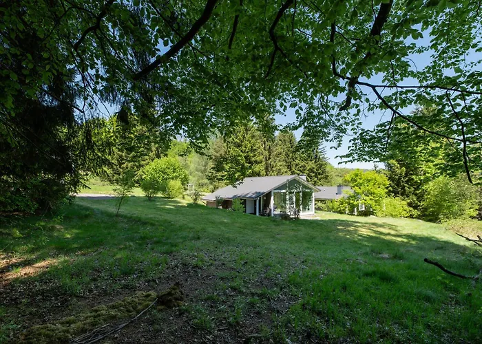 4 Personen Mit Sauna F3H3 Ruhla fotoğrafı