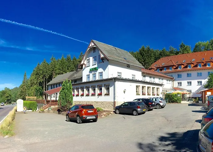 Hotel Rodebachmuehle Georgenthal  foto