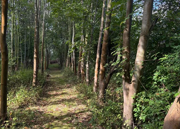 Zimmer Auf Bauernhof Mit Seperatem Eingang Und Outdoorsaunanutzung Schmölln foto
